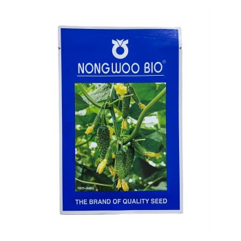 Seminte castraveti Absolute/Bard F1 - 100 seminte