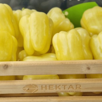 Seminte ardei Alutus F1 - 100 seminte