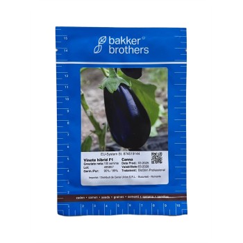 Seminte vinete Canna F1 - 100 seminte