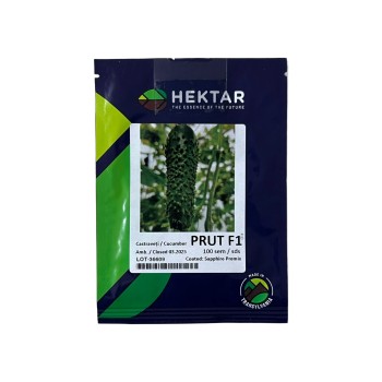 Seminte castraveti Prut F1 - 100 seminte