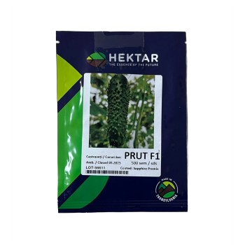 Seminte castraveti Prut F1 - 500 seminte