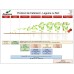 Biostimulator de inradacinare Raiza Mix - 1 Litru