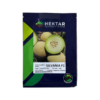 Seminte pepene galben Silvania F1 - 50 seminte