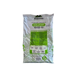 Ingrasamant hidrosolubil Solucat 10-52-10 - 1 kg