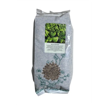 Seminte spanac Matador Holland Farming - 1 kg