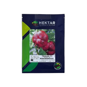 Seminte ardei Traian F1 - 100 seminte